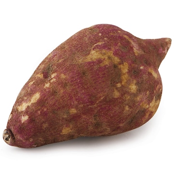 Boniato