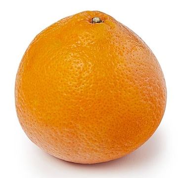 Minneola Tangelos