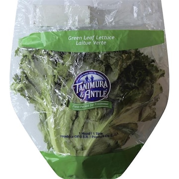 Green Leaf Lettuce