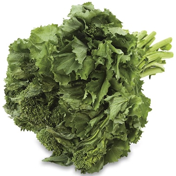 Rapini