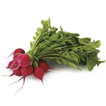 Bunched Radishes with Tops