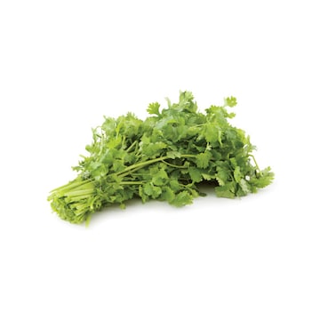 Organic Cilantro
