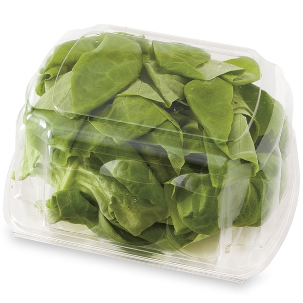 Butterhead Lettuce Publix Super Markets