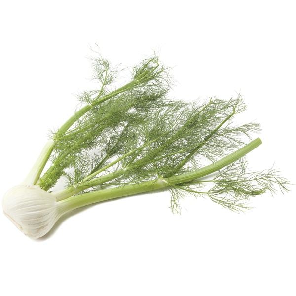 Organic Fennel Publix Super Markets