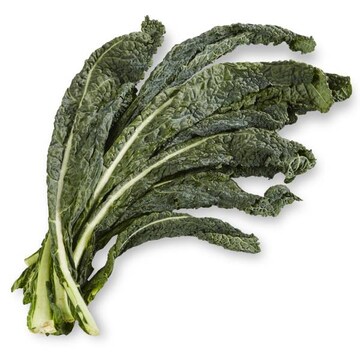 Organic Kale Lacinato / Tuscan