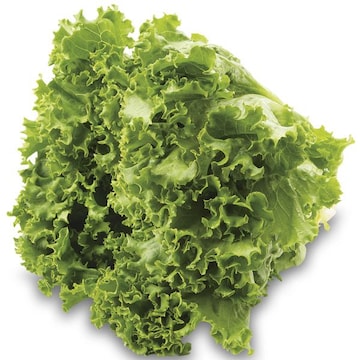 Organic Lettuce Green
