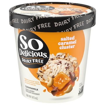 So Delicious Dairy Free Non-Dairy Cashewmilk Salted Caramel Cluster Frozen Dessert