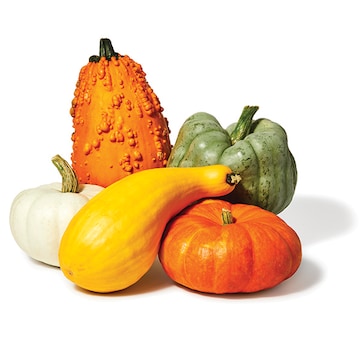 Pumpkins Heirloom Bin