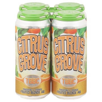 Tampa Bay Brewing Co Beer, Fruited Blonde Ale, Citrus Grove, Tangerine & Orange