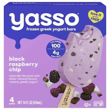Yasso Frozen Greek Black Raspberry Chip Yogurt Bars