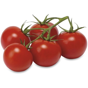 Tomatoes on the Vine