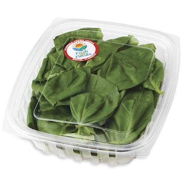 Florida Fresh Basil, Hydroponic