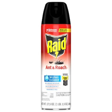 Raid Ant & Roach Killer 26, Fragrance Free