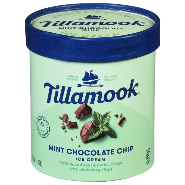 Mint Chocolate Chip Ice Cream - Tillamook