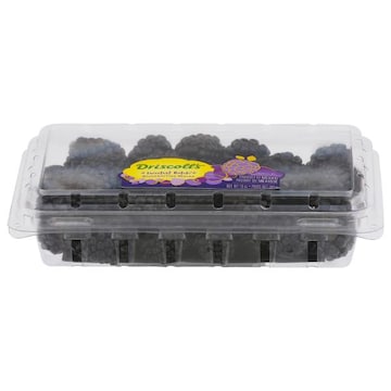 Driscoll's Sweetest Batch Blackberries