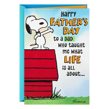 Hallmark Greeting Card, Happy Father's Day