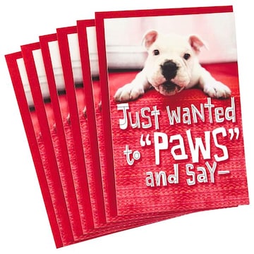 Hallmark Greeting Card Hallmark Pack of Valentine's Day Cards for Kids, Puppy Paws (6 Cards with Envelopes)