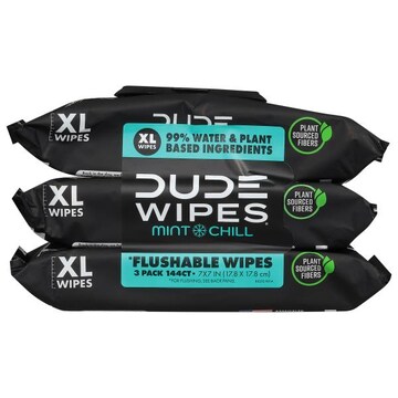 Dude Wipes Flushable Wipes, Chill Mint, XL