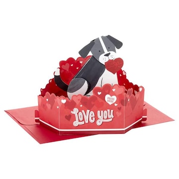 Hallmark Pop Up Valentine's Day Card with Sound and Motion (Dog)