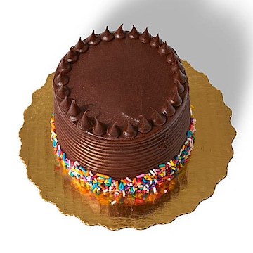 Fudge Rainbow Sprinkle Mini Cake