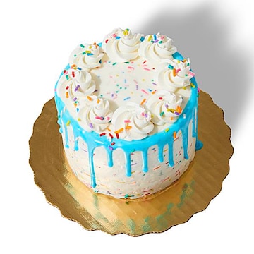Confetti Drip Mini Cake