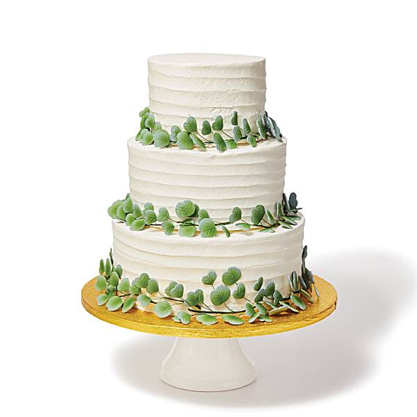 Eucalyptus Dreams Publix Super Markets