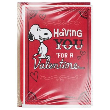 Hallmark Peanuts Valentine's Day Card