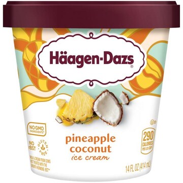 Haagen-Dazs Pineapple Coconut Ice Cream