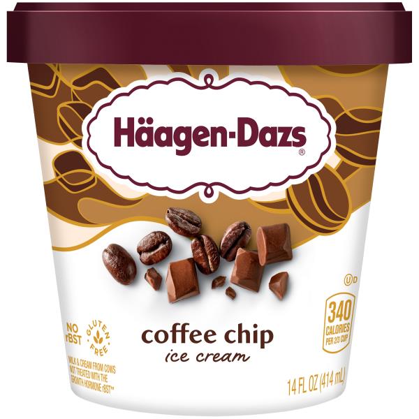 HaagenDazs Coffee Chip Ice Cream Publix Super Markets
