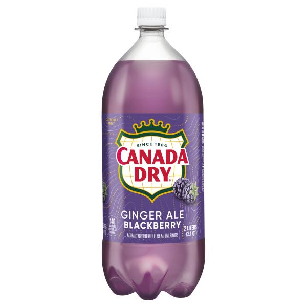 Canada Dry Ginger Ale, Caffeine Free, Blackberry | Publix Super