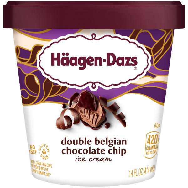 Haagen-Dazs Double Belgian Chocolate Chip Ice Cream | Publix Super