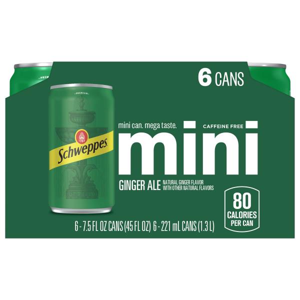Schweppes Caffeine Free Mini Ginger Ale | Publix Super Markets