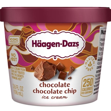 Haagen-Dazs Chocolate Chocolate Chip Ice Cream