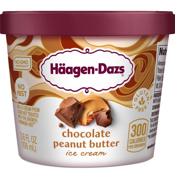 Haagen-dazs Chocolate Peanut Butter Ice Cream 