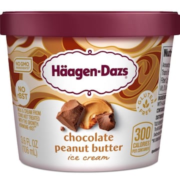 Haagen-Dazs Chocolate Peanut Butter Ice Cream