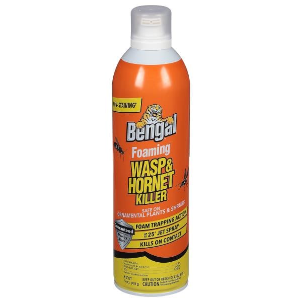 Bengal Wasp & Hornet Killer, Foaming | Publix Super Markets