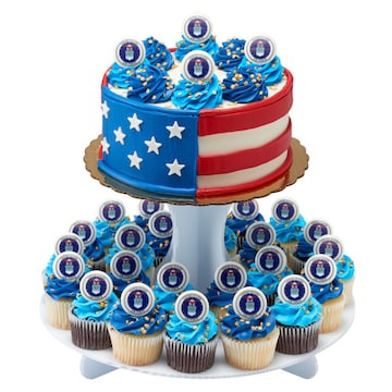 United States Air Force Tm Cake Cupcake Combo