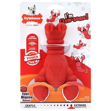 Nylabone Filet Mignon Flavor Dog Toy