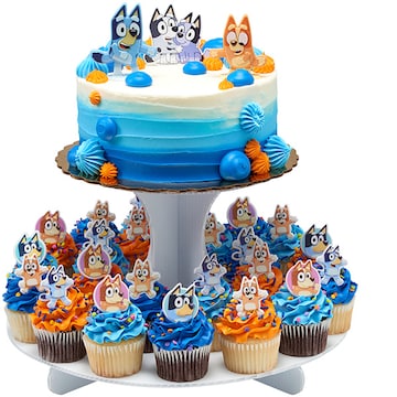 Bluey Cake Cupcake Combo