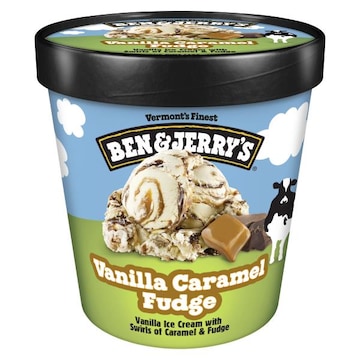 Ben & Jerry's Vanilla Caramel Fudge Ice Cream Pint
