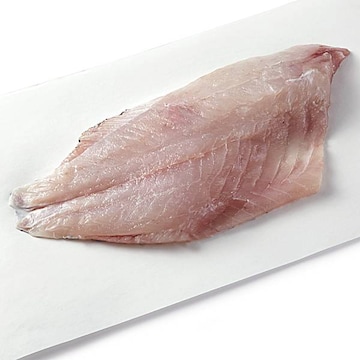 Tripletail Fillet