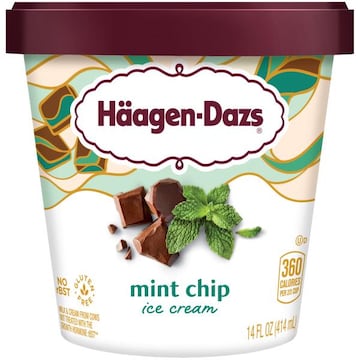 Haagen-Dazs Mint Chip Ice Cream