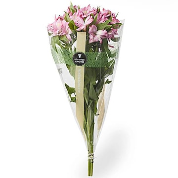 Alstroemeria, Bunch