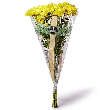 Pom Daisy_bunch