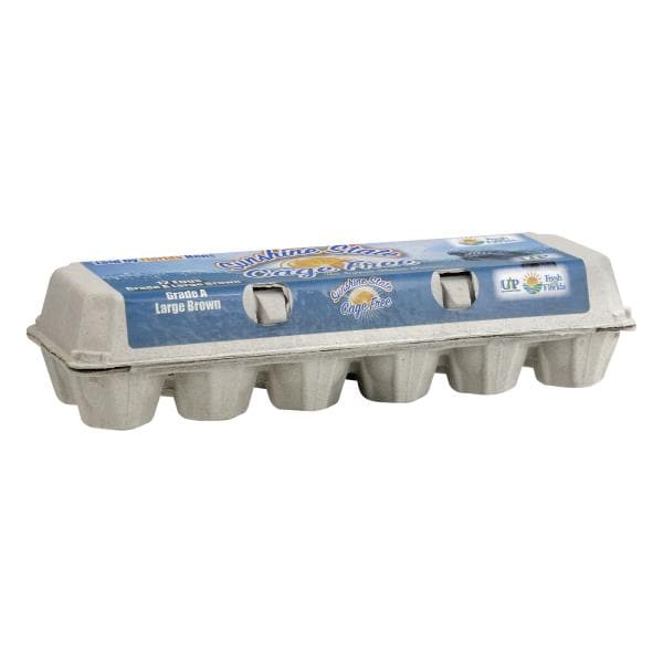 Fresh From Florida Eggs, Cage Free, Brown, Large | Publix Super