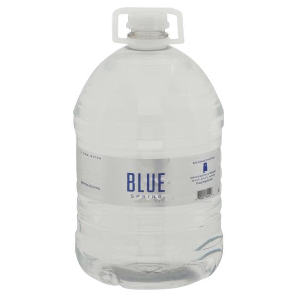 Blue Spring Living Water Publix Super Markets