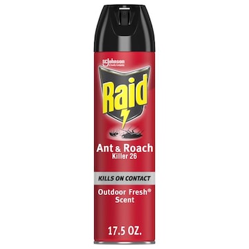 Raid Ant & Roach Killer Aerosol Bug Spray Kills on Contact - Outdoor Fresh Scent - 17.5oz