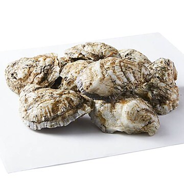 Terrapin Creek Oysters, Shell On