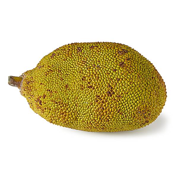 Jackfruit Publix Super Markets