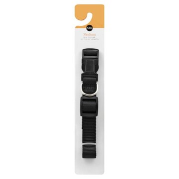 Publix Dog Collar, Medium